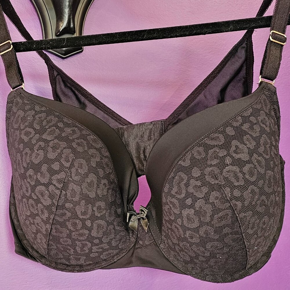 Torrid 38DD Push Up Bra